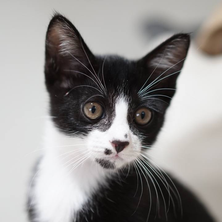 F991424f a3af 48f9 8e88 897c495e9bf4 1568471674799