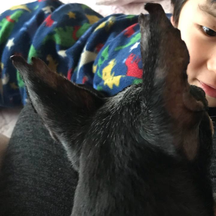 F991498a b584 4fa2 b4ab b55276d39253 1520746480217