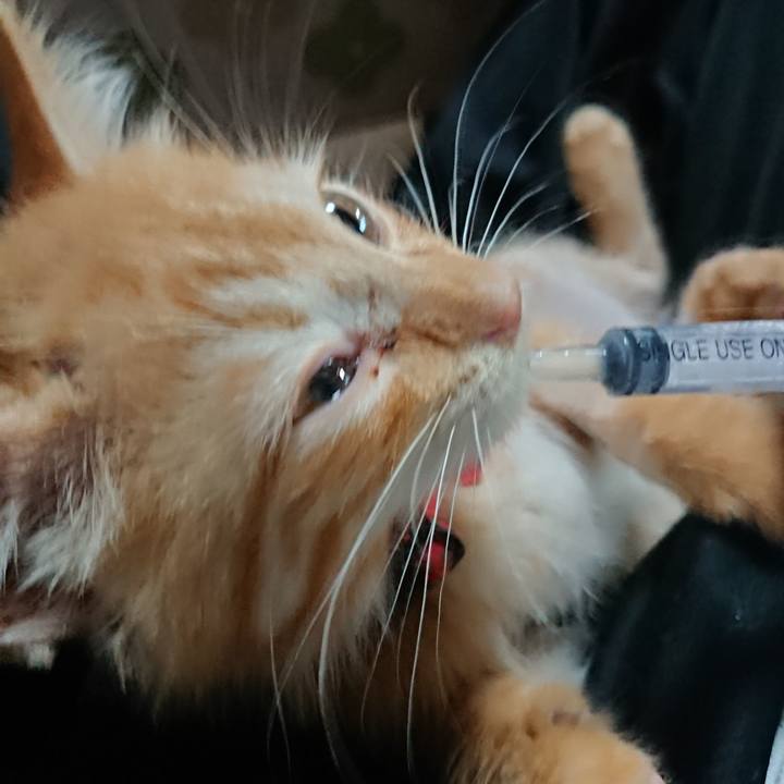 F9915e9c 101b 4b25 97fe 442686477e4f 1628632578112