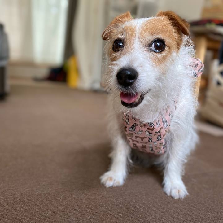 F9917fc7 7865 40a7 9e2f 02c15ff547db 1658119650286