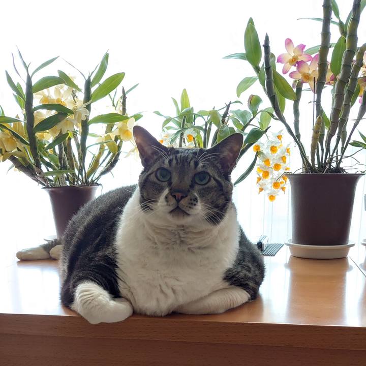 F991881c ff3d 4998 9416 432ddc275cba 1611701884024