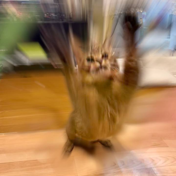 F991d06e 7fa6 48f7 b572 23b50dab33c2 1548809587914