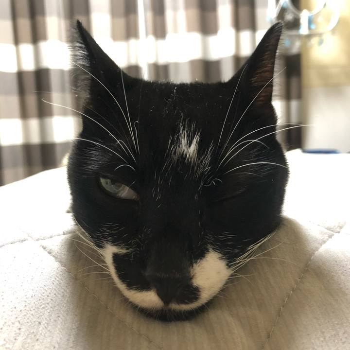 F991d5d5 28f4 496a ae67 59a623e042ee 1598044297478