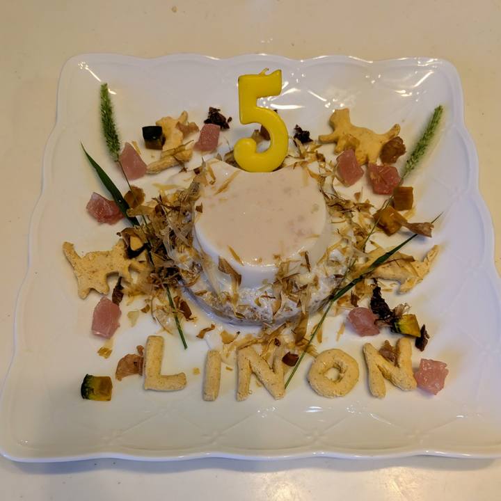 F9921a72 40a6 43c3 95ce 8fb2ebcbb948 1760338668078