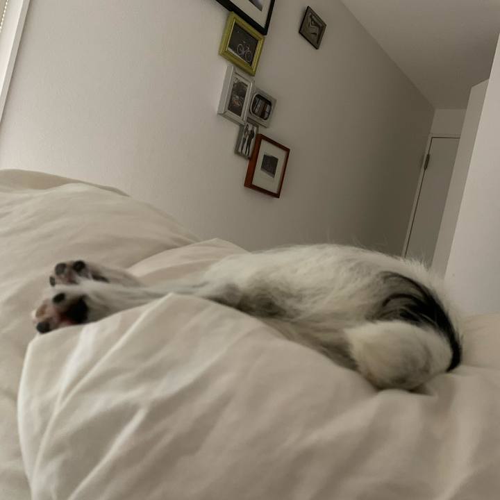 F992c854 b778 47eb bdab cb610edcad5f 1659450720196