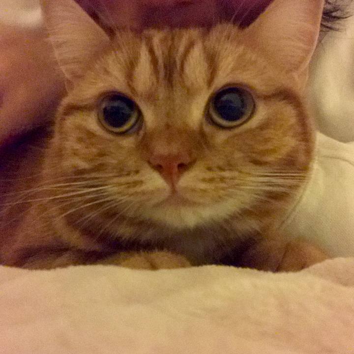 F992e9f7 25d4 4b0a bf44 520b1749b463 1509626716775