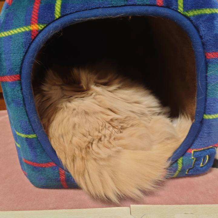 F992faf2 57c4 40cf a6e9 c1cd674d38c1 1696748626252