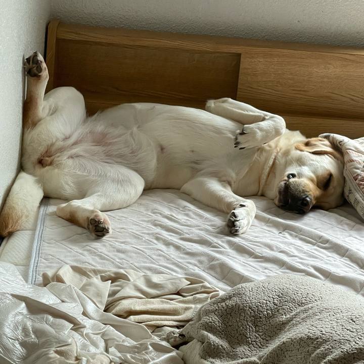 F9931030 d37d 4a65 83f2 d671c39cad2c 1687062292345