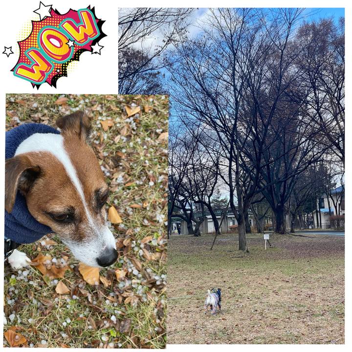 F9931e9c e25e 4217 9b0d 8c4fc952edd2 1736235482152