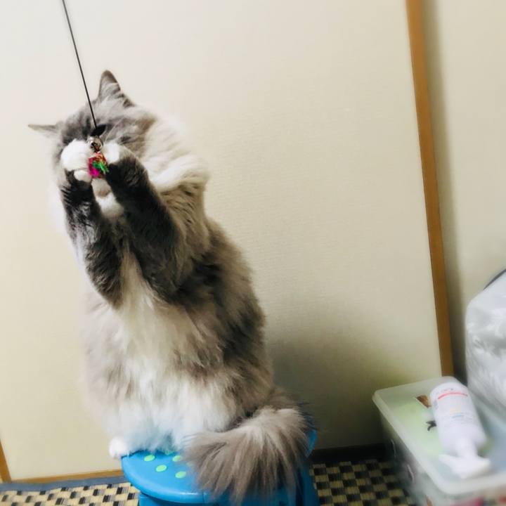 F9932456 586d 4b86 bda8 18adcc5db74a 1515968079689