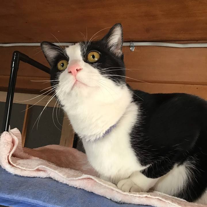 F9932605 729e 4af6 be19 b707c4b20141 1644198740915