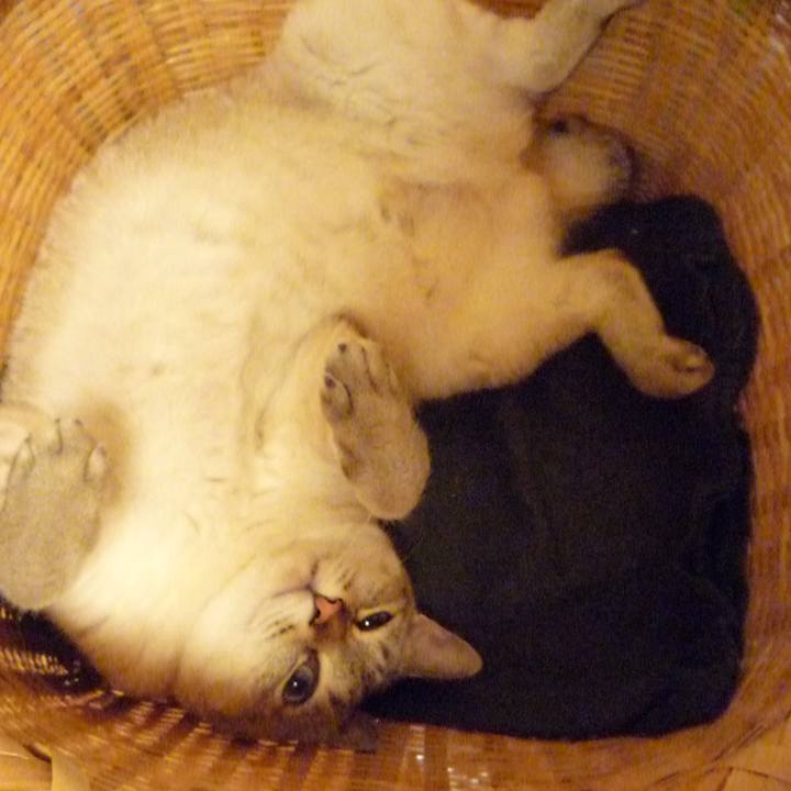 F993625d c387 47b1 b15c a249a981c898 1616372817863