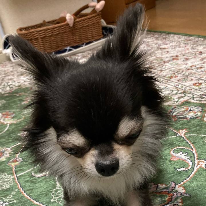 F9937e9d f2ea 4062 b75e 0f1c10e52d17 1653745498186