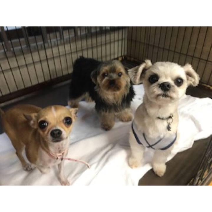 F9938b16 bf3c 424b 8f48 9ce561f452ff 1568113613178