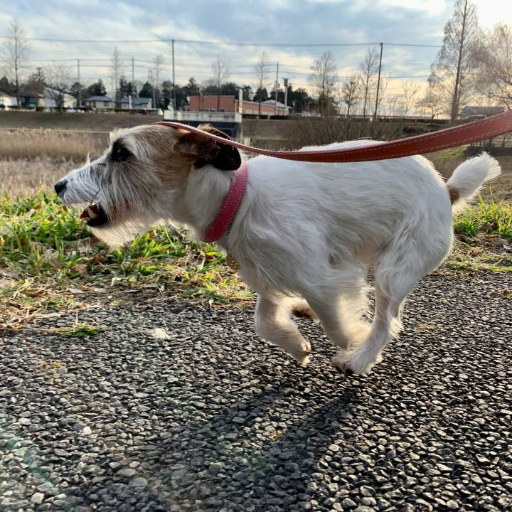 F993a2bc 7bac 44d5 aa27 07525a5cb443 1646039001053