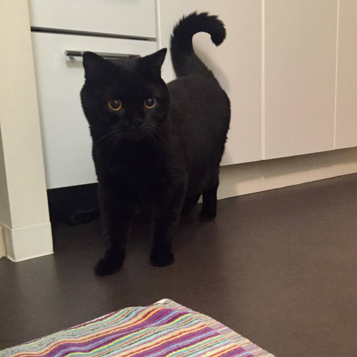 F993a88b 0dc4 4499 a6e3 2d3cd6c42dd8 1569851367426