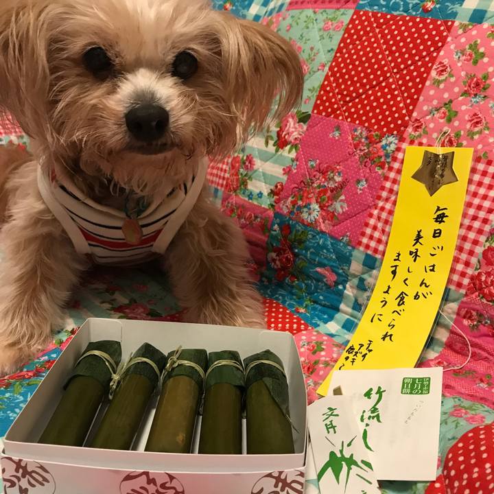 F993ae44 e3e6 41e7 a7de 0045d4515c36 1530946661222