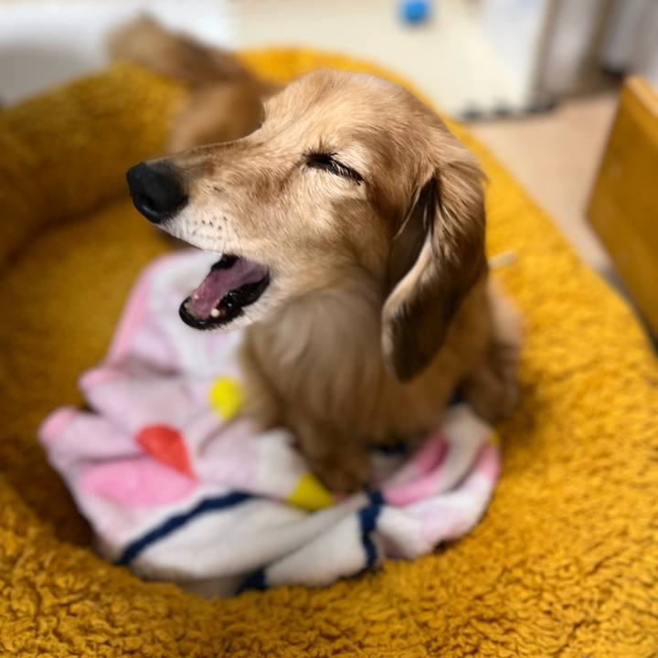 F993cab0 9751 4a49 8a78 9ab1da64966d 1637842891527