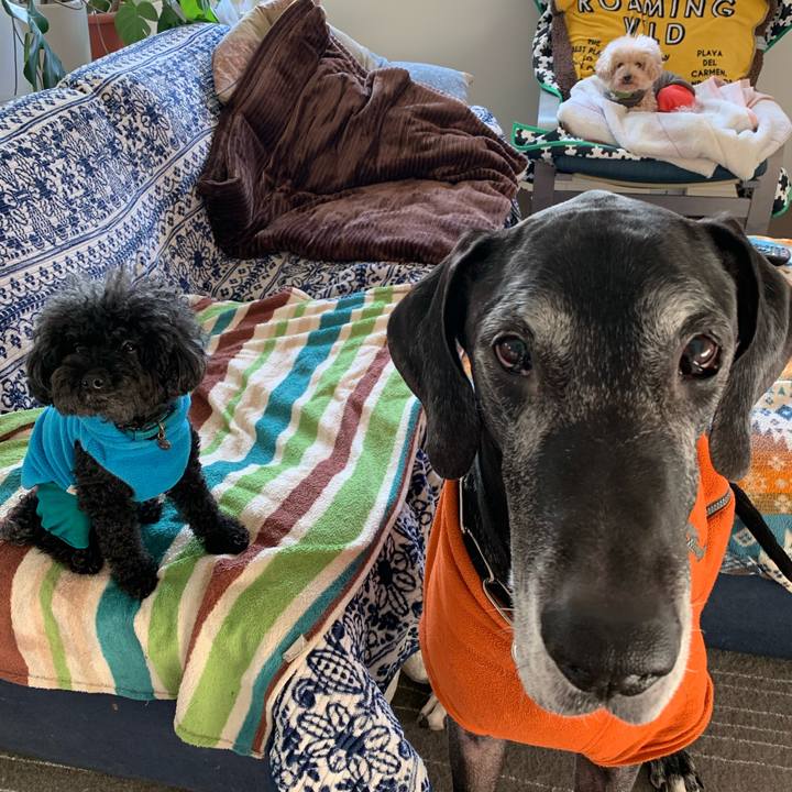 F993cbb6 f9b5 447b 80cc e8a3388037cd 1580855663121