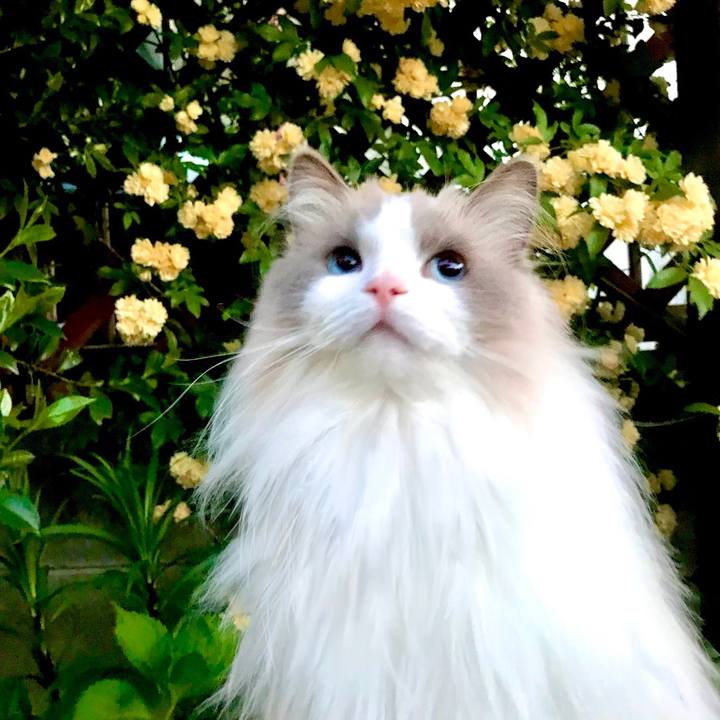 F993d163 7585 494d 951d 652003cefbf8 1619559922012