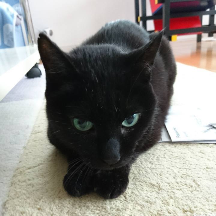 F993e9a1 da72 45b4 9e5a 2722b893ccea 1544156967002