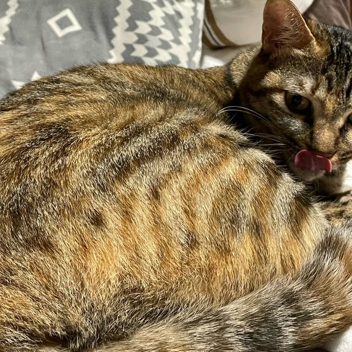 F993ed02 c76a 44a1 96b5 b87d9ee0a368 1758673248252