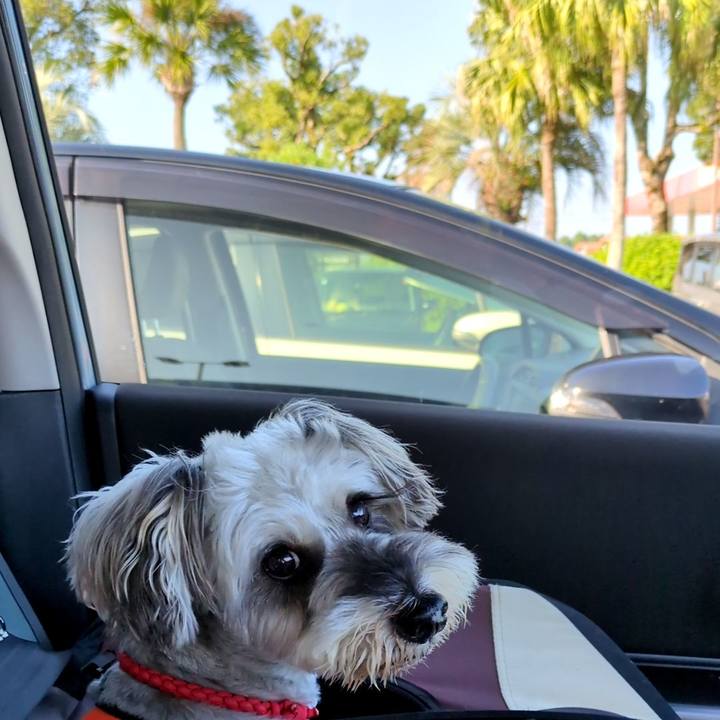 F993f59b cc07 48ce bac5 8be9fd30eb4d 1760491142702