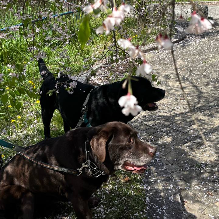 F99403fb c6f6 4bce 9f37 6a545fb51f42 1776085109107