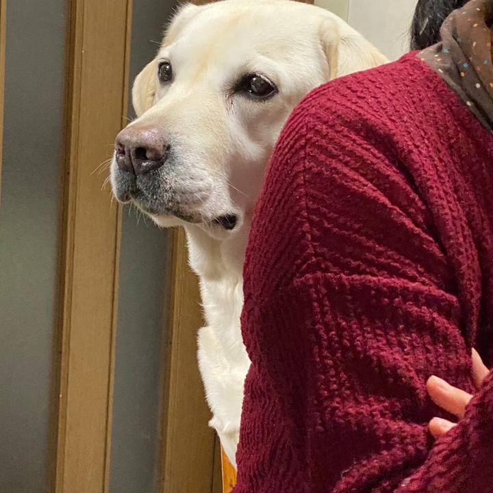 F994731d 3ca5 45fb b44d e59865dd877f 1672953375024