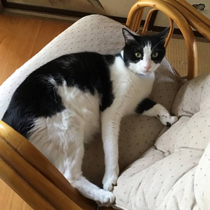 F99494f0 7013 4ffc b7ce 70b708087dcc 1754470432808