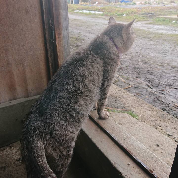 F994d2a4 99ca 4666 8dcd 37728e78d41e 1582332312367