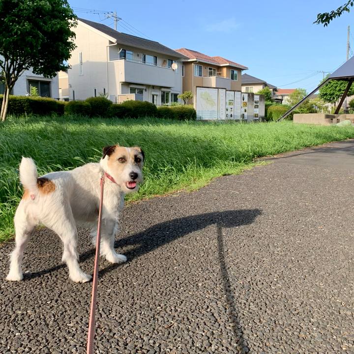 F994e114 2b76 41b4 a5ed 018b6610ce39 1683323099768