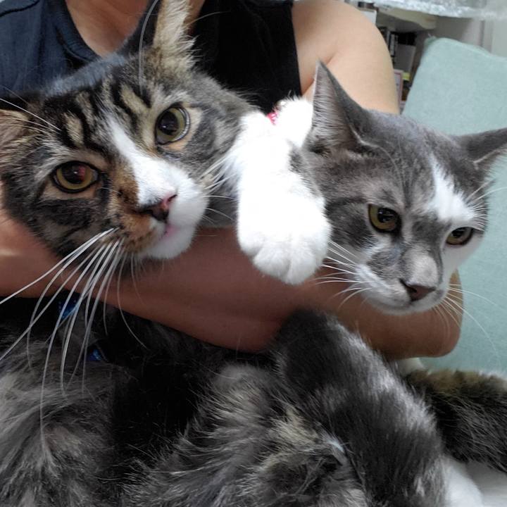 F994f8f4 cd6e 4905 89ca db8c3a8ef61f 1693429320598