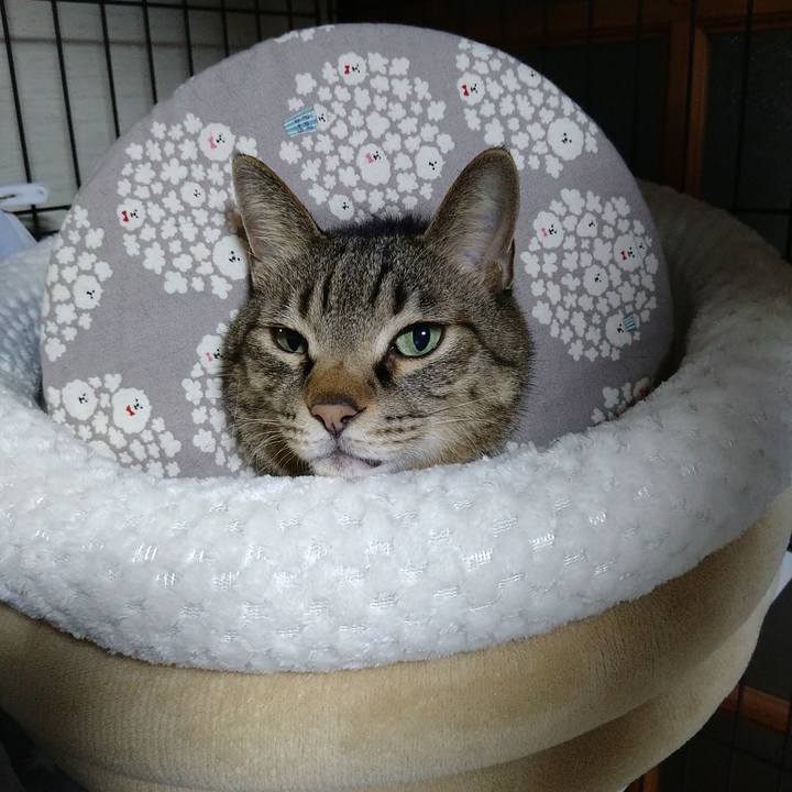 F99507d9 53e8 4750 8cd1 fe7ab6fa9b44 1742461770270