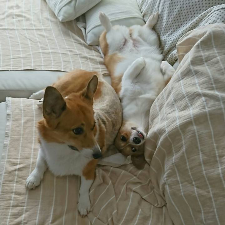 F9952042 d0b1 48ce 933b 1062568a3533 1533447790123