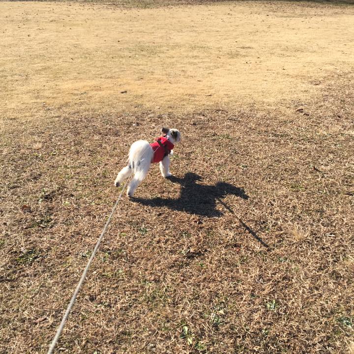 F99525b5 3b97 4350 9dc4 a384ebe56ca6 1513850918108