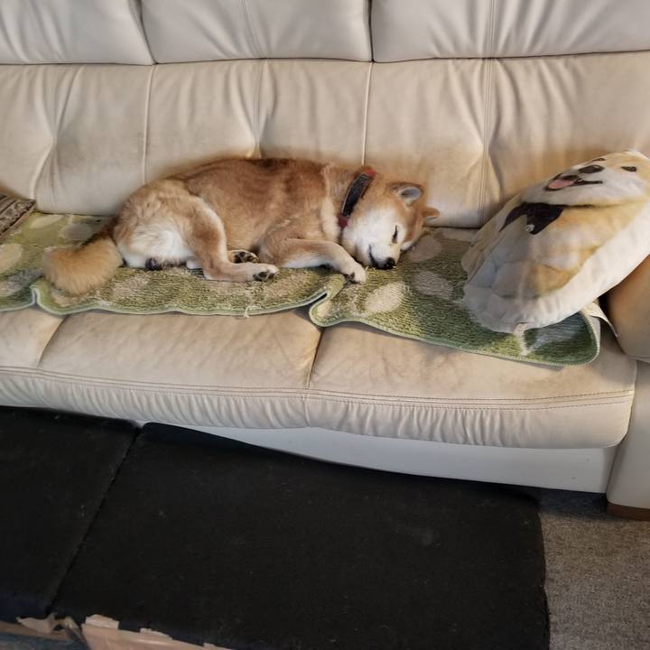 F99562ce 9009 4dbf abcd 0f37cc22f2cd 1768704399967