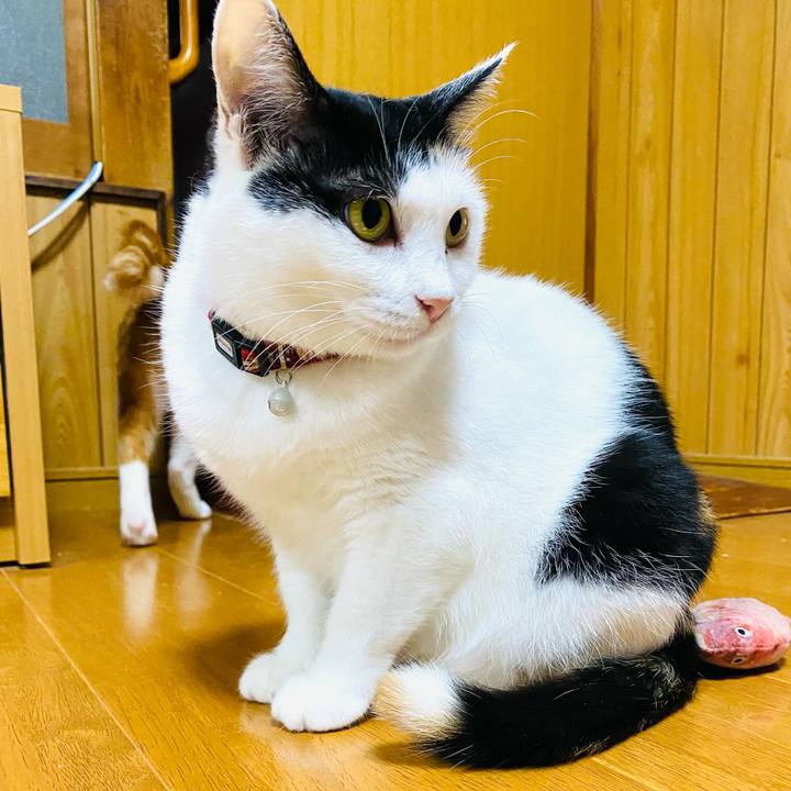 F99576c4 73df 4172 b115 b40fae30d0c4 1661642749910