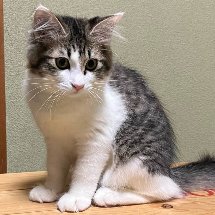 F995e5c6 2f0b 4cba b7a4 56c97948558f 1692916908478