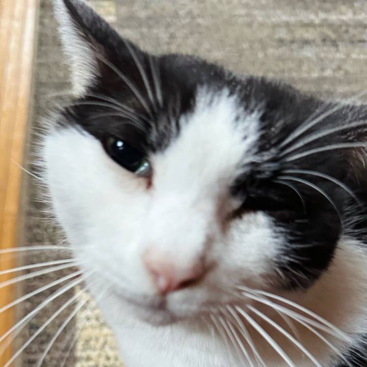 F995fb11 cb03 4a0c a61b 27f7953fdc1b 1705369348848