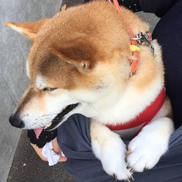 F995ffc8 1265 4d78 9714 9e864b26eaca 1646345399813