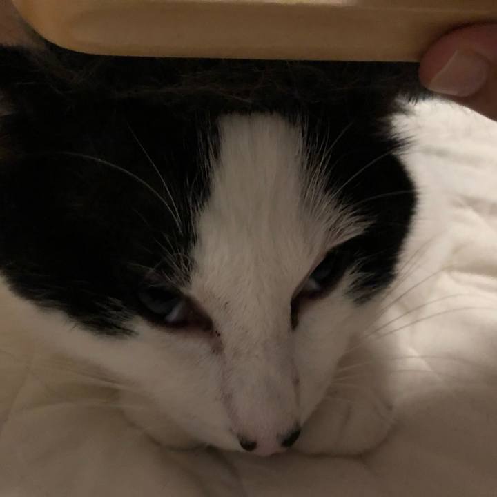 F9962c0e 9570 487c ab51 46d7fb202116 1561559390836