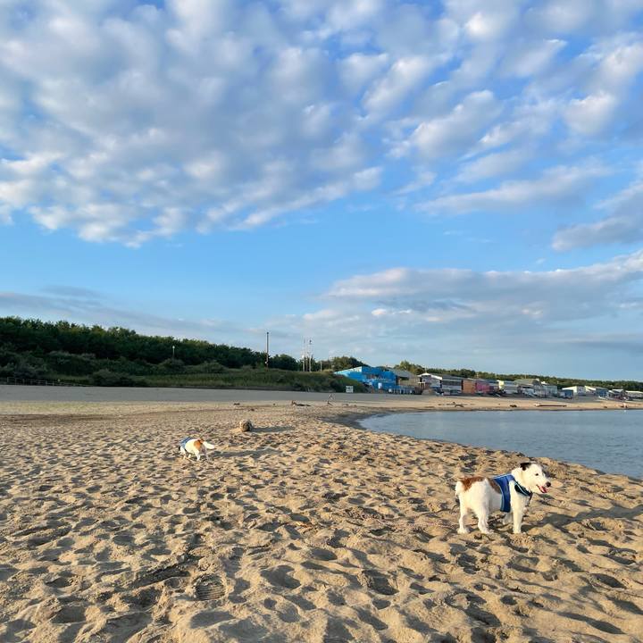 F9962ef2 b0f3 4650 9af4 c91965fd055c 1693000643843