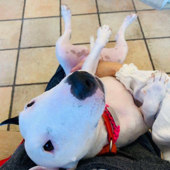 F9965472 3bef 4d3a b453 7929030ca746 1544499261518