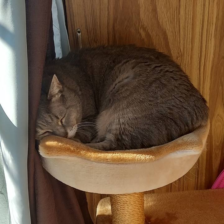 F9966bf8 40d3 49b8 b2eb 984b2ebe9645 1644197643965