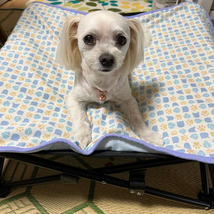 F9967944 743a 4f69 8318 d644f23e8f73 1690698726328