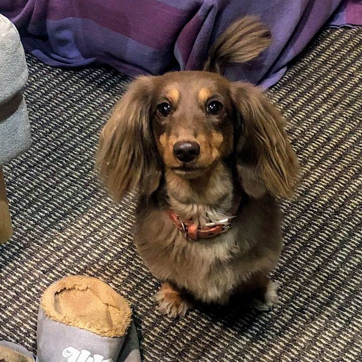 F996d18d dc49 4d5b 9104 aad8515be9a6 1572702779113