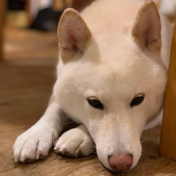 F996dc48 8f4c 4178 9d20 c284e2a065cb 1567029880713