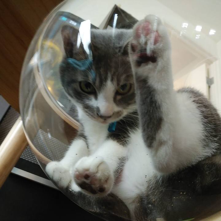 F99727fd 9441 4c8d a457 43f17cb605d1 1585623856827