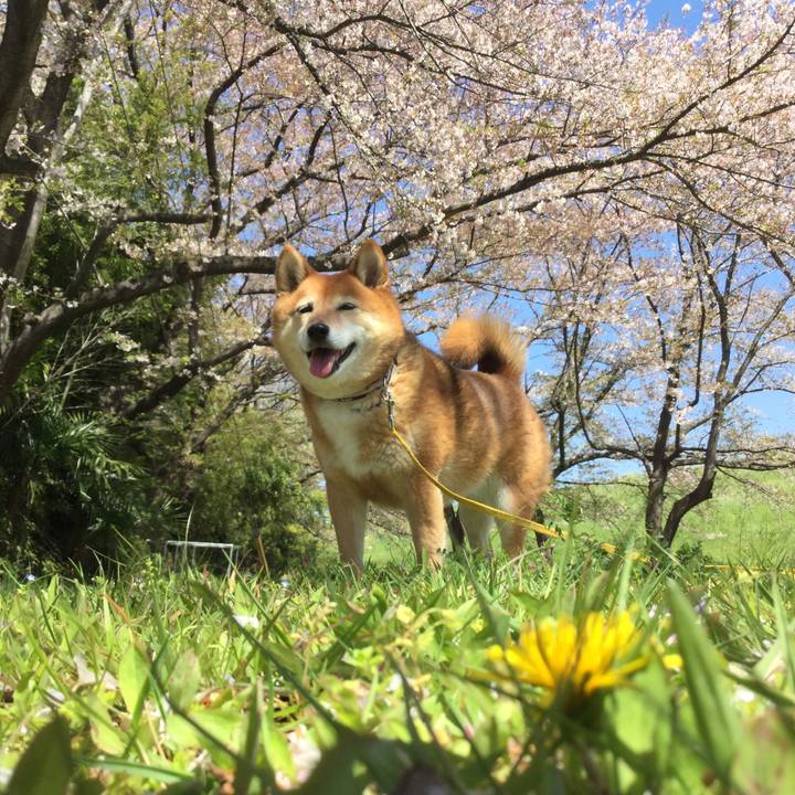 F9976bf1 8791 4e14 8dae d7997c378cf9 1555380872292